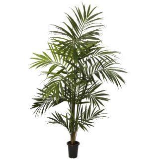 ft Kentia Palm Silk Tree