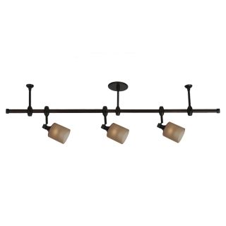 Stirling Transitions Antique Bronze Directional 3 light Kit Today: $