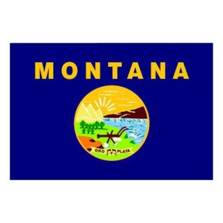 Nylglo 143160 Montana State Flag, 3x5 Ft