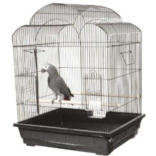 Victorian Small Bird Cage Color: Black: Pet Supplies