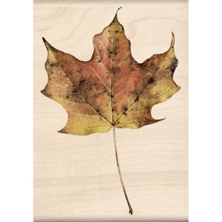 Inkadinkado Maple Leaf Photo Realistic Mounted Stamp Today $10.19