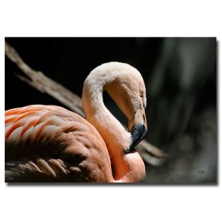 Lois Bryan The Sacred Old Flamingoes Canvas Art