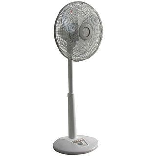 Oscillating Adjustable Stand Fan