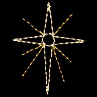 48 in. Outdoor LED Warm White Bethlehem Star Lighted Display  100